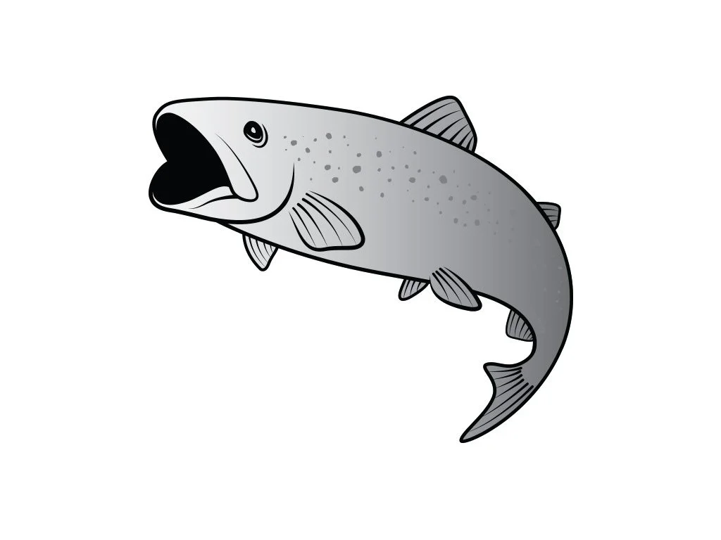 2026_07_10_2347653