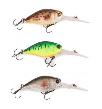 2026_07_11_2557771